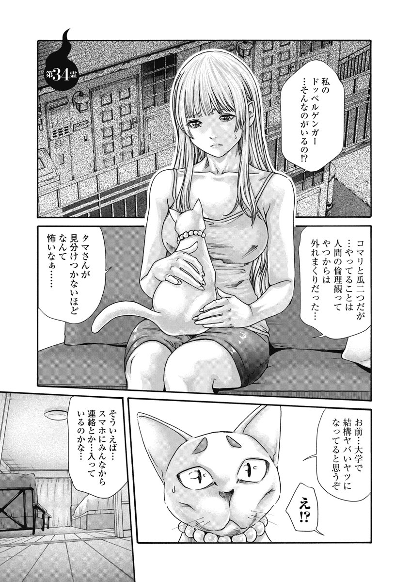 Teraumare Neko no Tama-san Chapter 34 1ページ