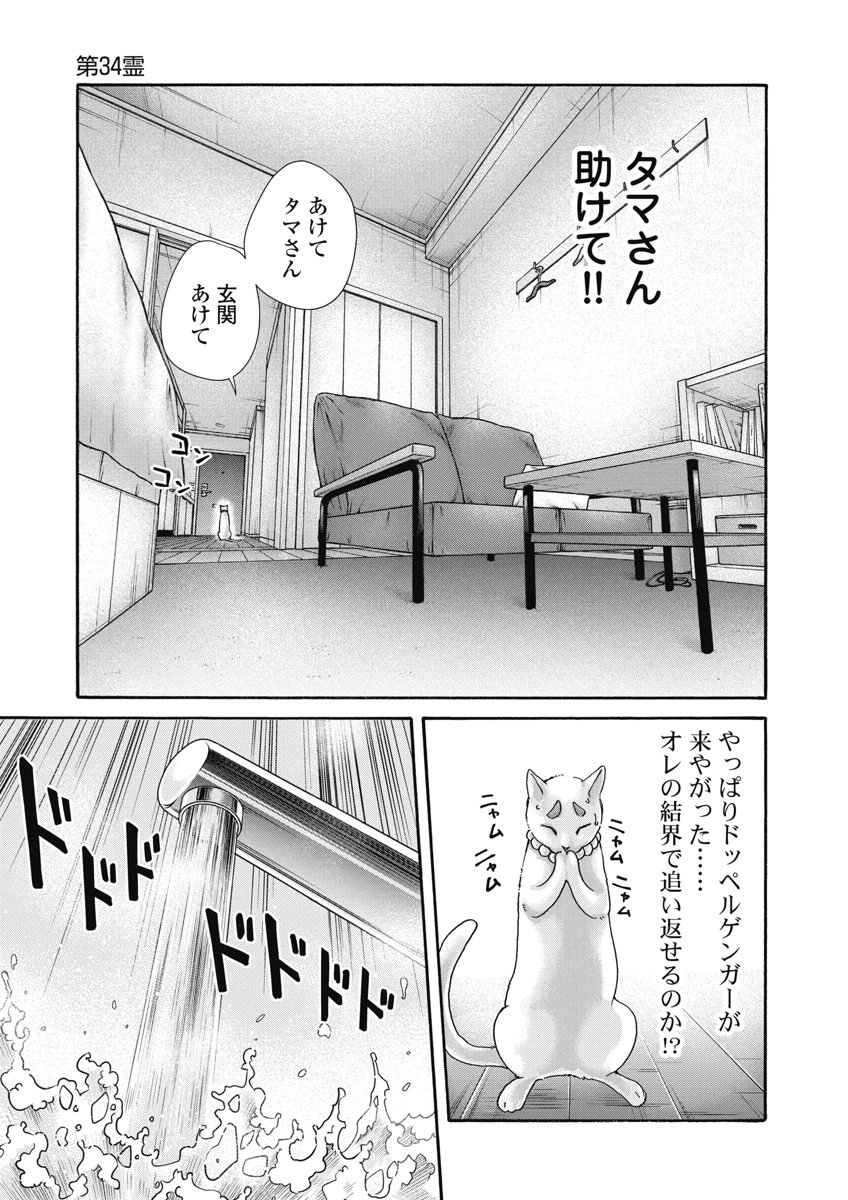 Teraumare Neko no Tama-san Chapter 34 7ページ