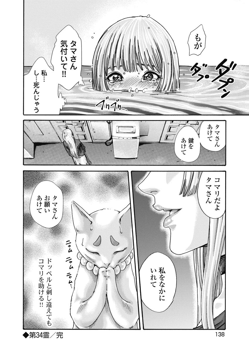 Teraumare Neko no Tama-san Chapter 34 8ページ