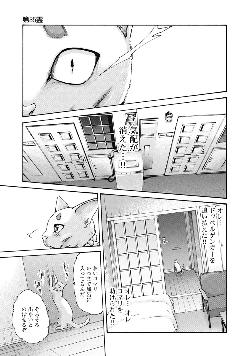 Teraumare Neko no Tama-san Chapter 35 9ページ