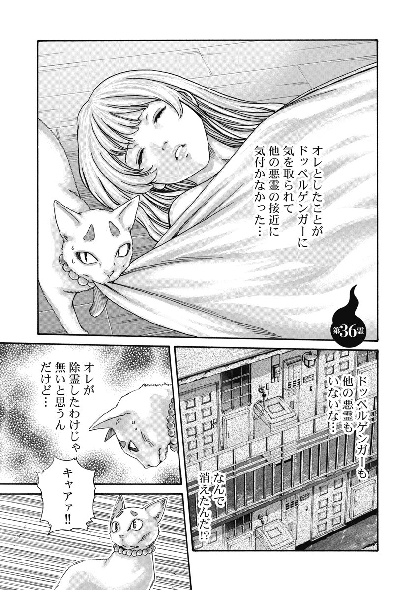 Teraumare Neko no Tama-san Chapter 36 1ページ