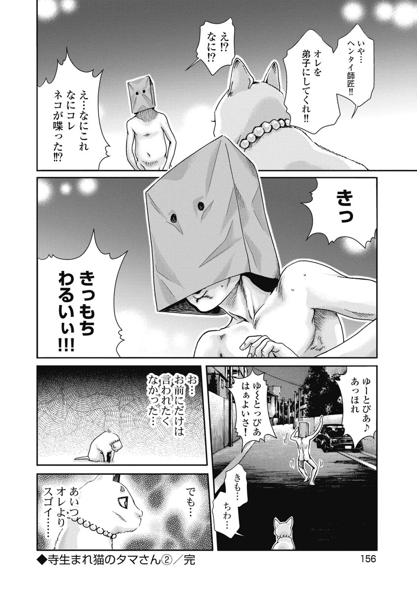 Teraumare Neko no Tama-san Chapter 36 8ページ