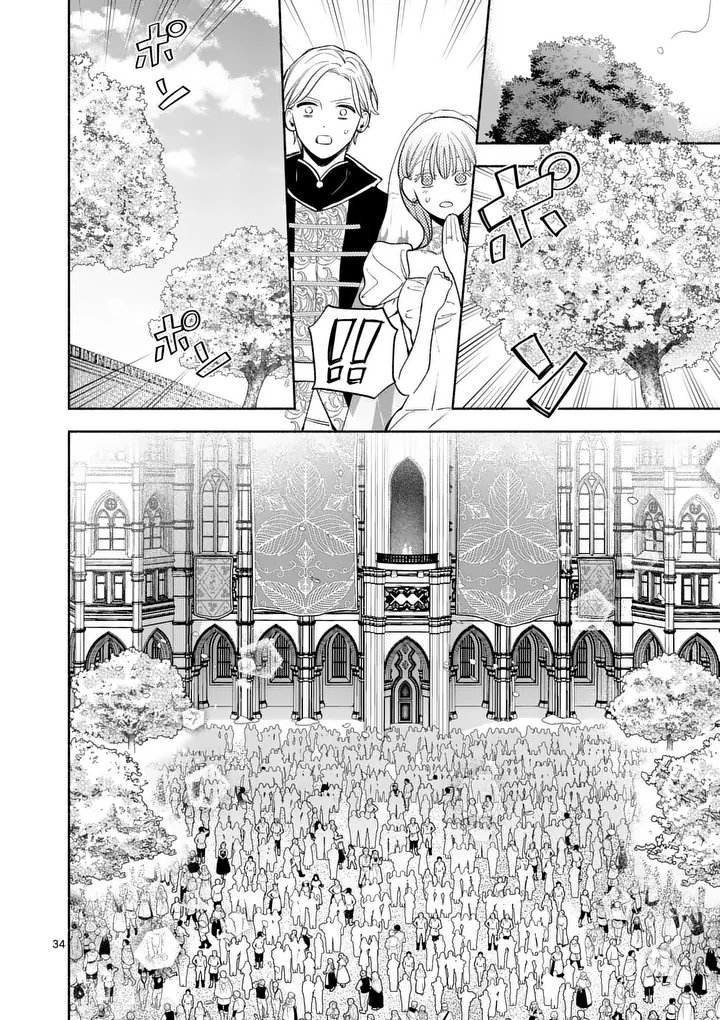 Mou Kyoumi ga Nai to Rikonsareta Reijou no Igai to Tanoshii Shinseikatsu Chapter 32.2 11ページ