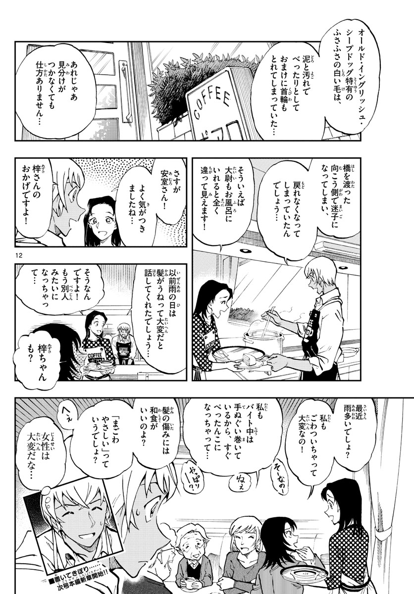 Meitantei Conan Chapter 1050.3 12ページ