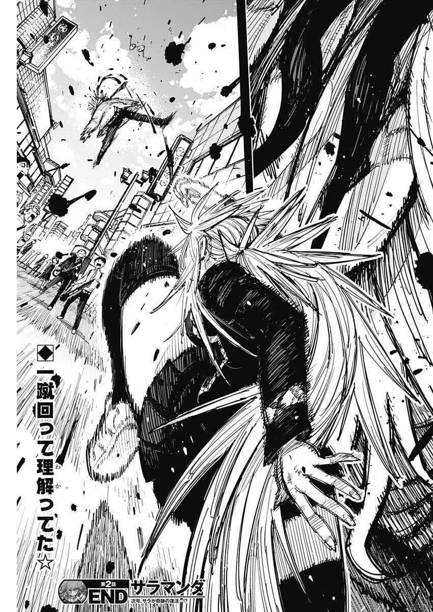 Salamander (NAKAYAMA Atsushi) Chapter 2 15ページ