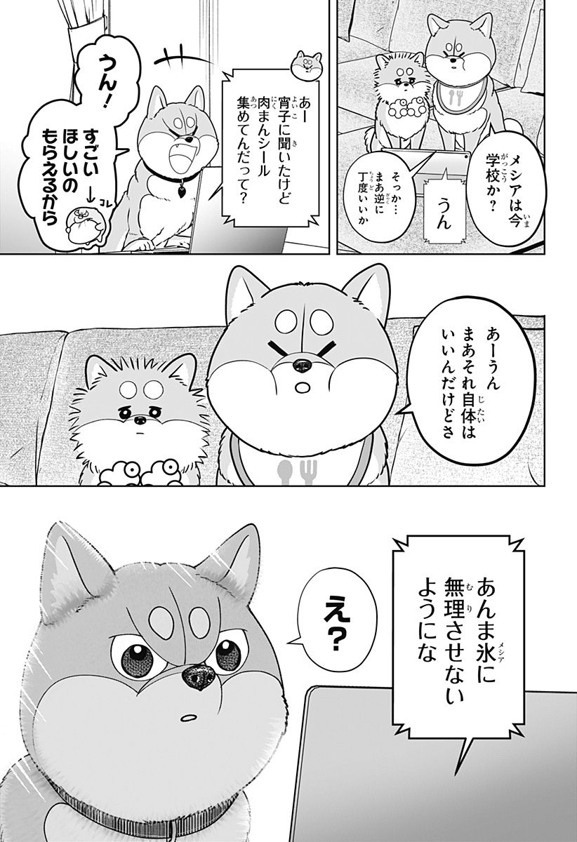 Shiba-Tsuki Bukken Chapter 60 17ページ