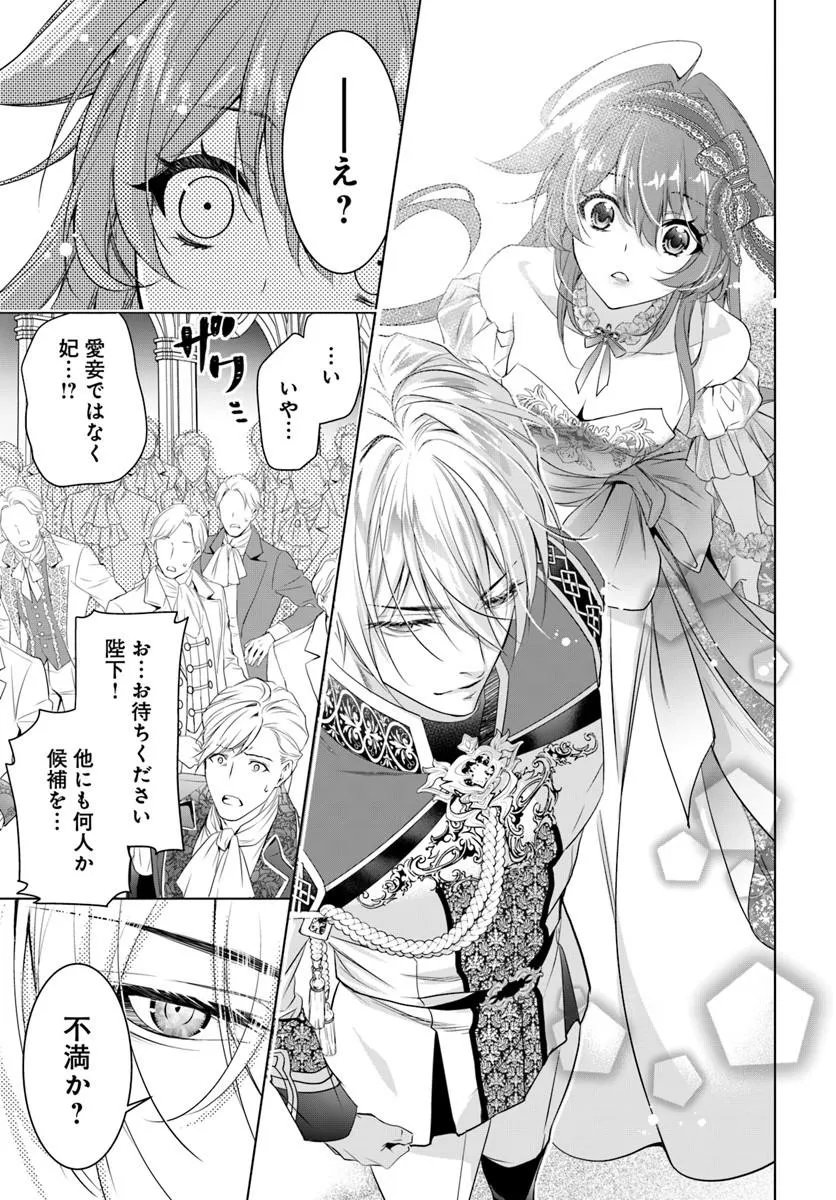 Kokuou Heika, Watashi wo Katte Kudasai! Chapter 13.1 7ページ