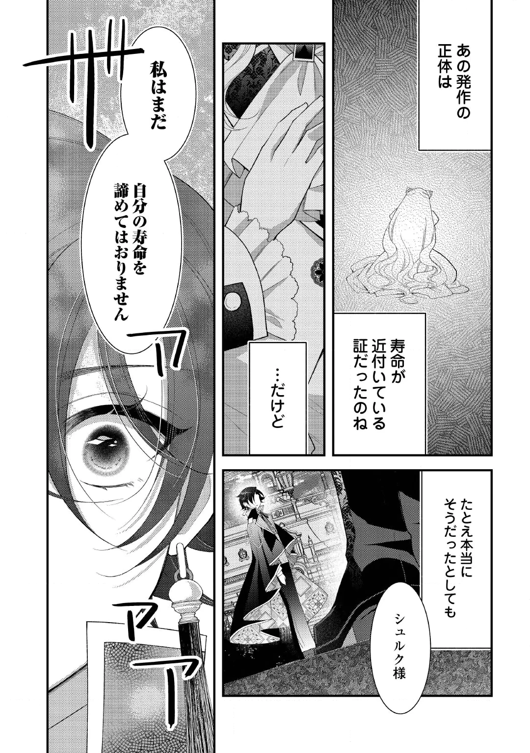 Shinda Ouhi wa Nidome no Jinsei wo Tanoshimimasu Chapter 20.2 7ページ
