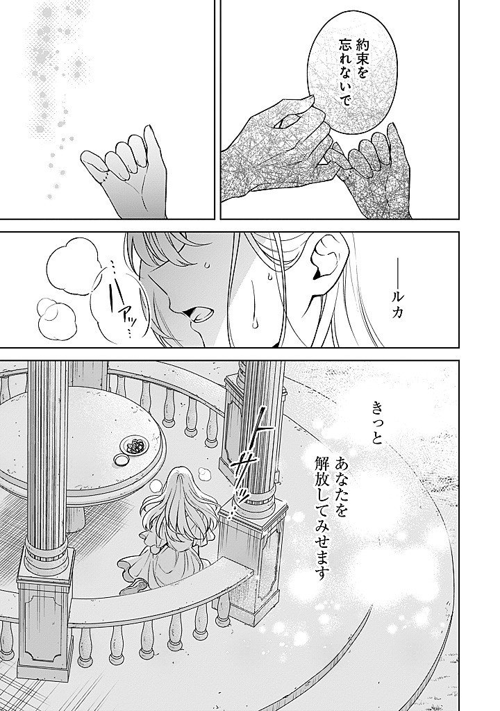 Seishin Seijo: Konyaku Hakisareta Tsuihou Seijo desu ga, Ookami Ouji no Noroi wo Toite Dekiaisaretemasu - Imasara Kuni ni Modorette Iwarete mo Osoi desu! Chapter 30 25ページ