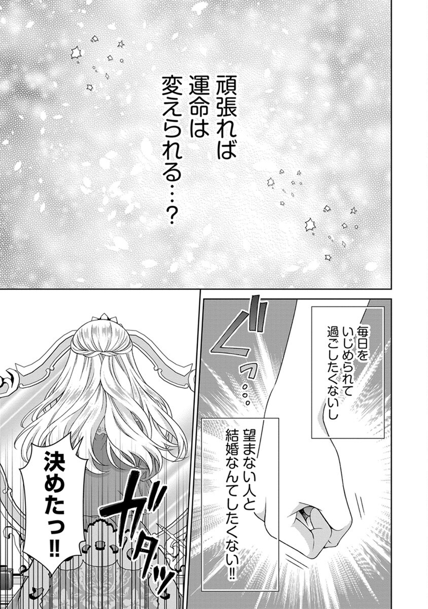Royal Wedding wa Okotowari! ~Tensei Reijou wa Reiketsu Ouji to no Kekkon wo Kaihi Shitai~ Chapter 3 19ページ