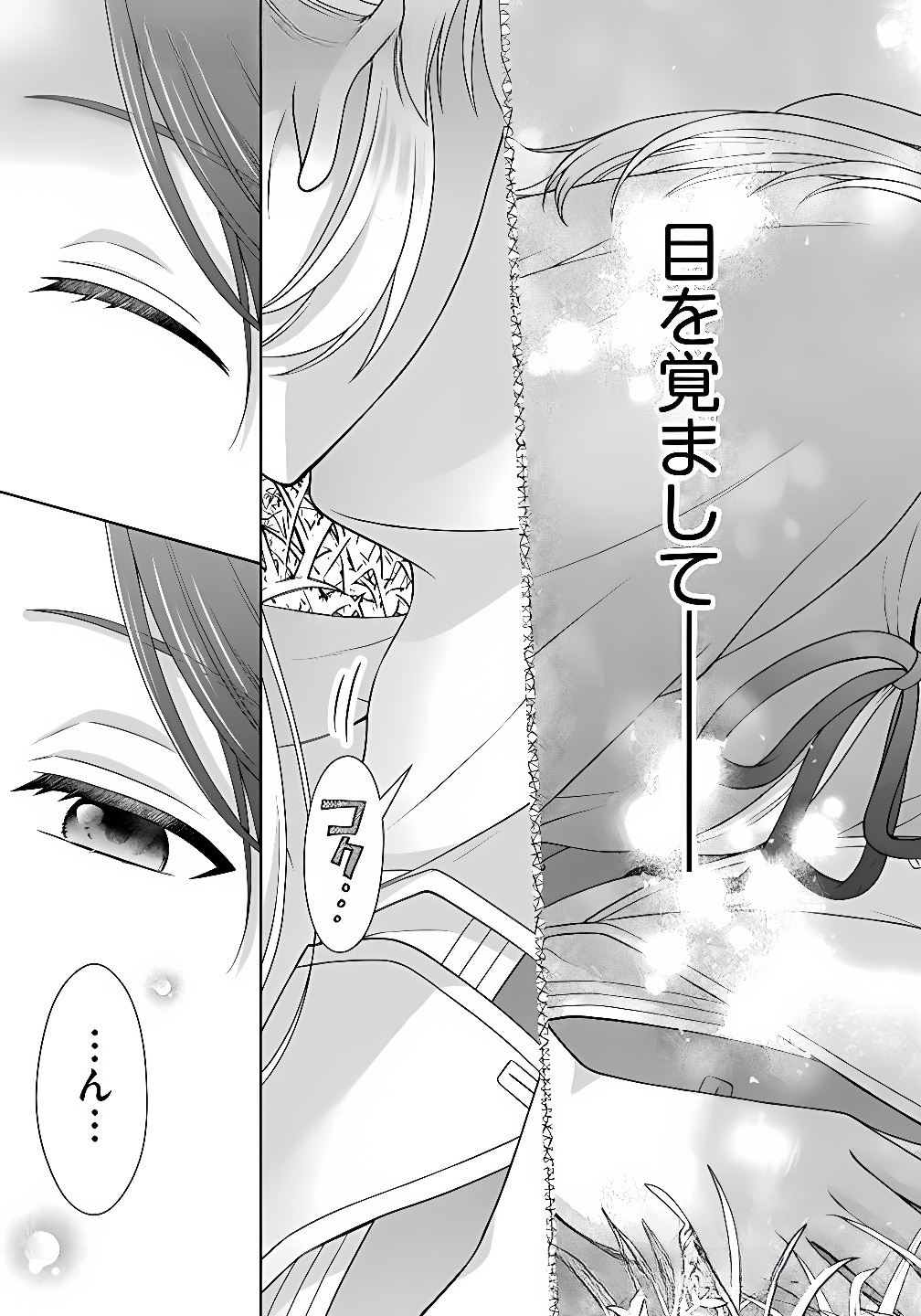 Royal Wedding wa Okotowari! ~Tensei Reijou wa Reiketsu Ouji to no Kekkon wo Kaihi Shitai~ Chapter 8 9ページ