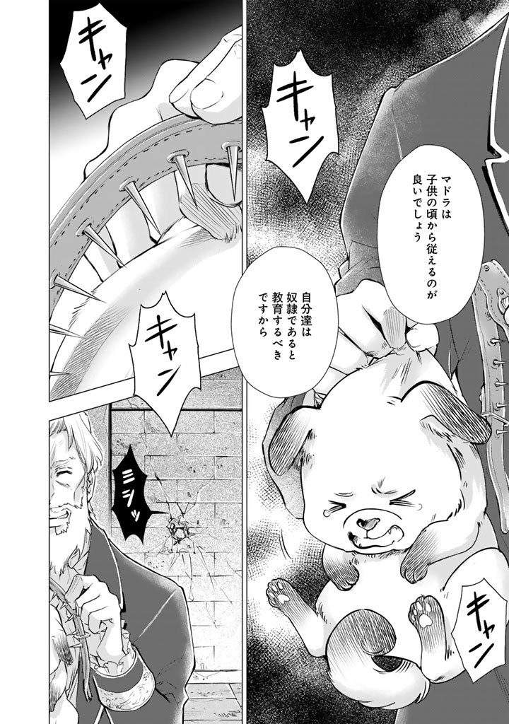Uchi no Inu ga Tsuyosugirun desu ga? - Tensei Shitara Megami-sama no Shukufuku de Sekai wo Sukuu Koto ni narimashita Chapter 43 12ページ