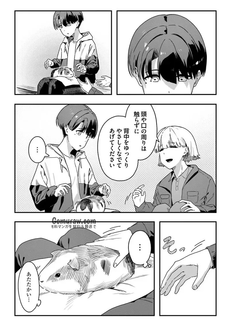 Daunaa-kei Oneesan ni Mainichi Kasu no Uso wo Nagashikomareru Hanashi Chapter 7 13ページ