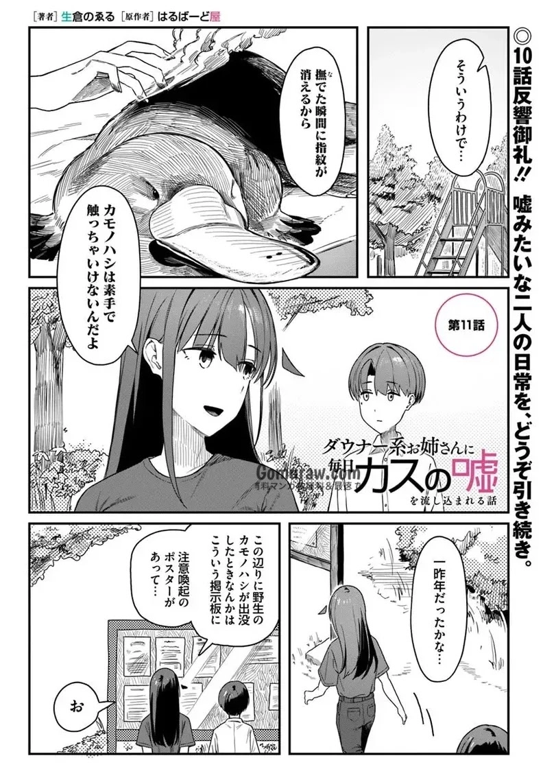Daunaa-kei Oneesan ni Mainichi Kasu no Uso wo Nagashikomareru Hanashi Chapter 11 1ページ