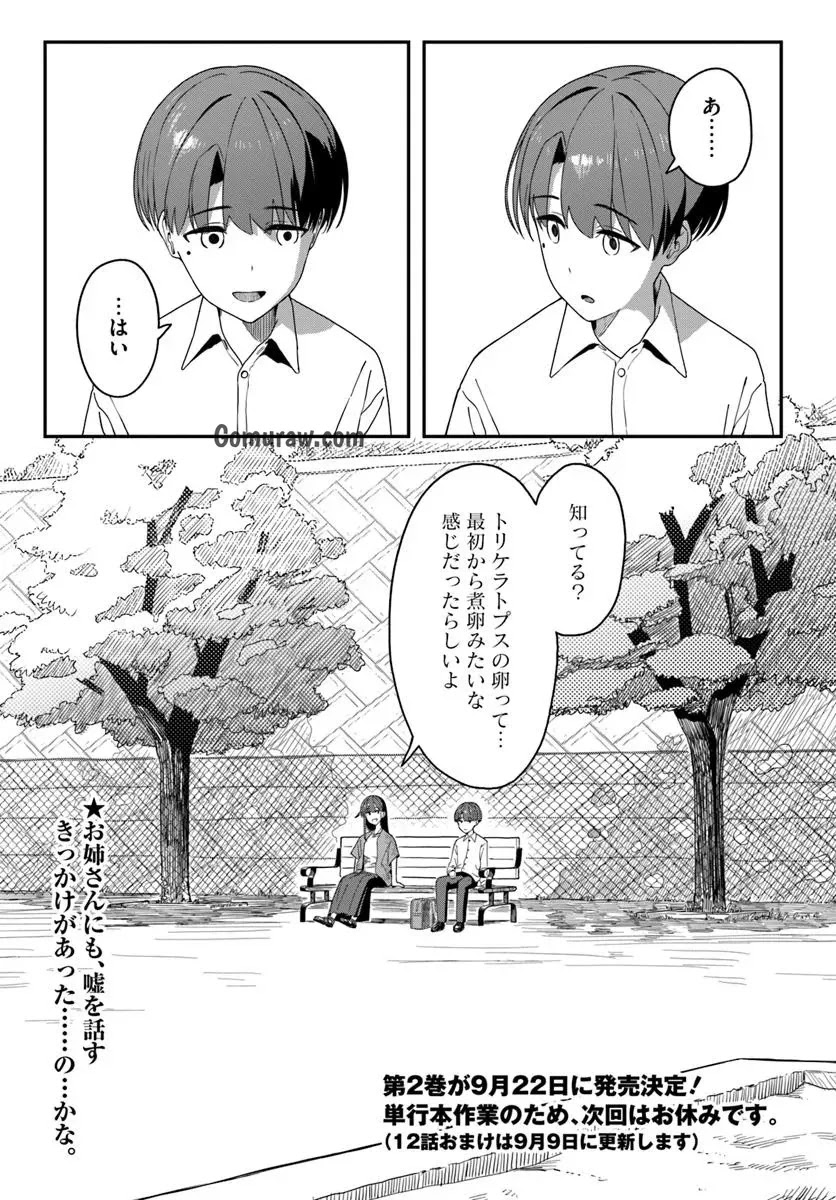 Daunaa-kei Oneesan ni Mainichi Kasu no Uso wo Nagashikomareru Hanashi Chapter 12 25ページ