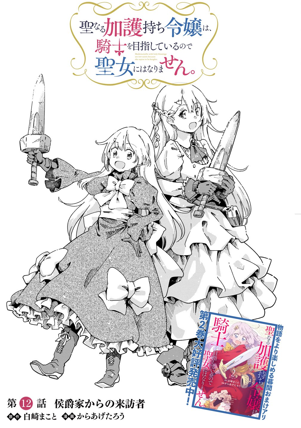 Seinarukagomochi Reijou wa, Kishi wo Mezashite Irunode Seijo ni wa narimasen. Chapter 12 3ページ