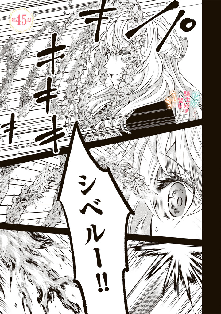 Tsuihousareta Kishi Suki Seijou wa Kyou mo Shiawase Chapter 45 1ページ