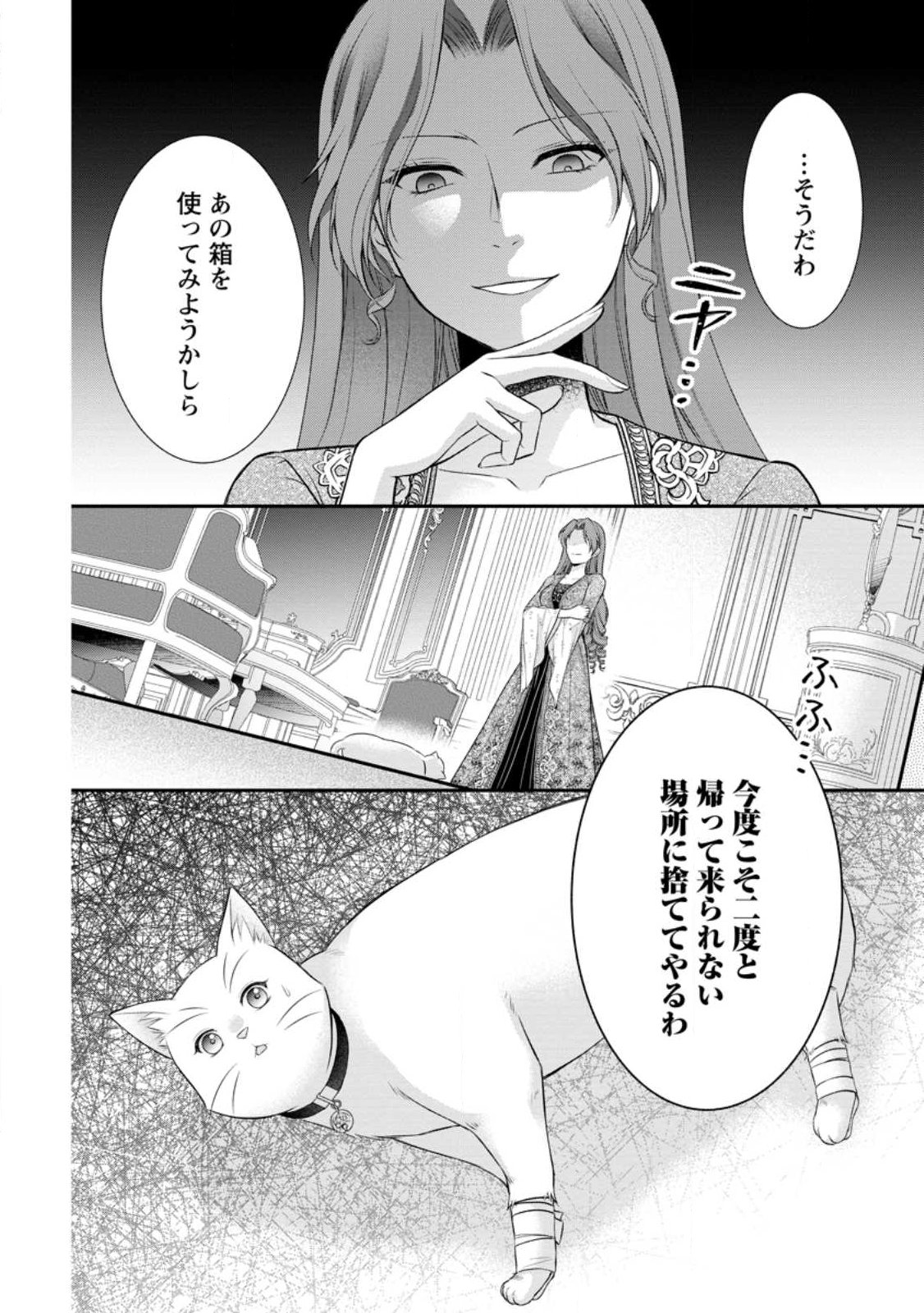 Noroi de Neko ni Sareta Akujo, Outaishi ni Hirowareru. Chapter 23.3 9ページ