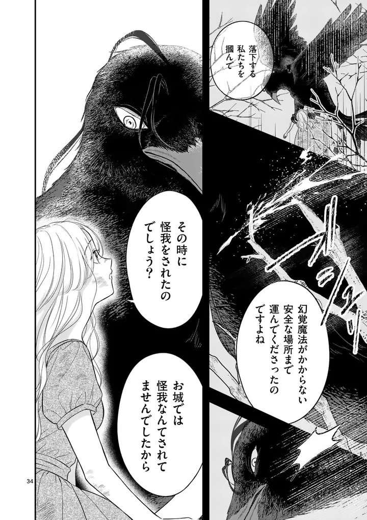 Kaibutsu Ouji no Itoshii Majo Chapter 3.5 13ページ