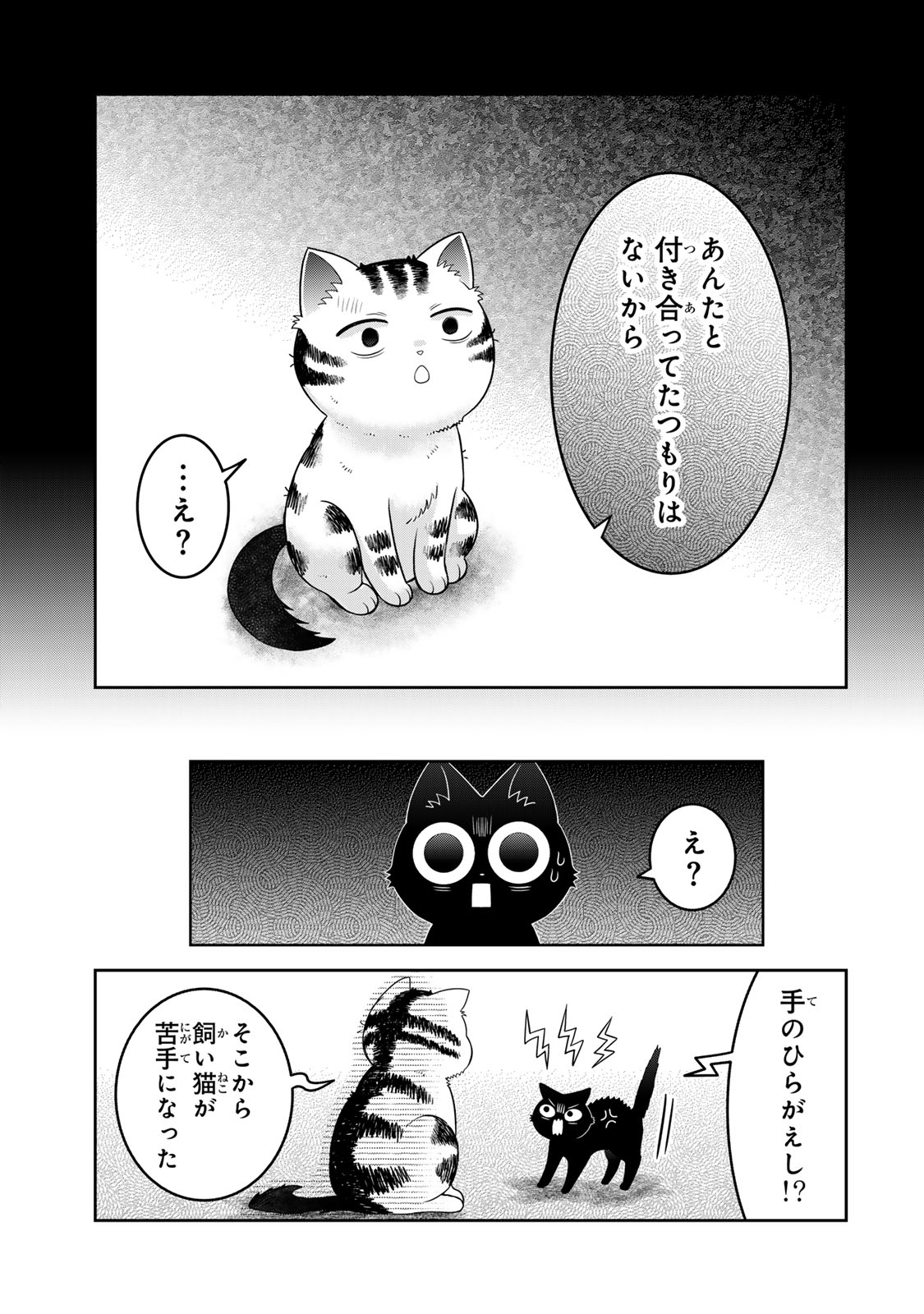 Rudolf to Ippaiattena Chapter 14 13ページ