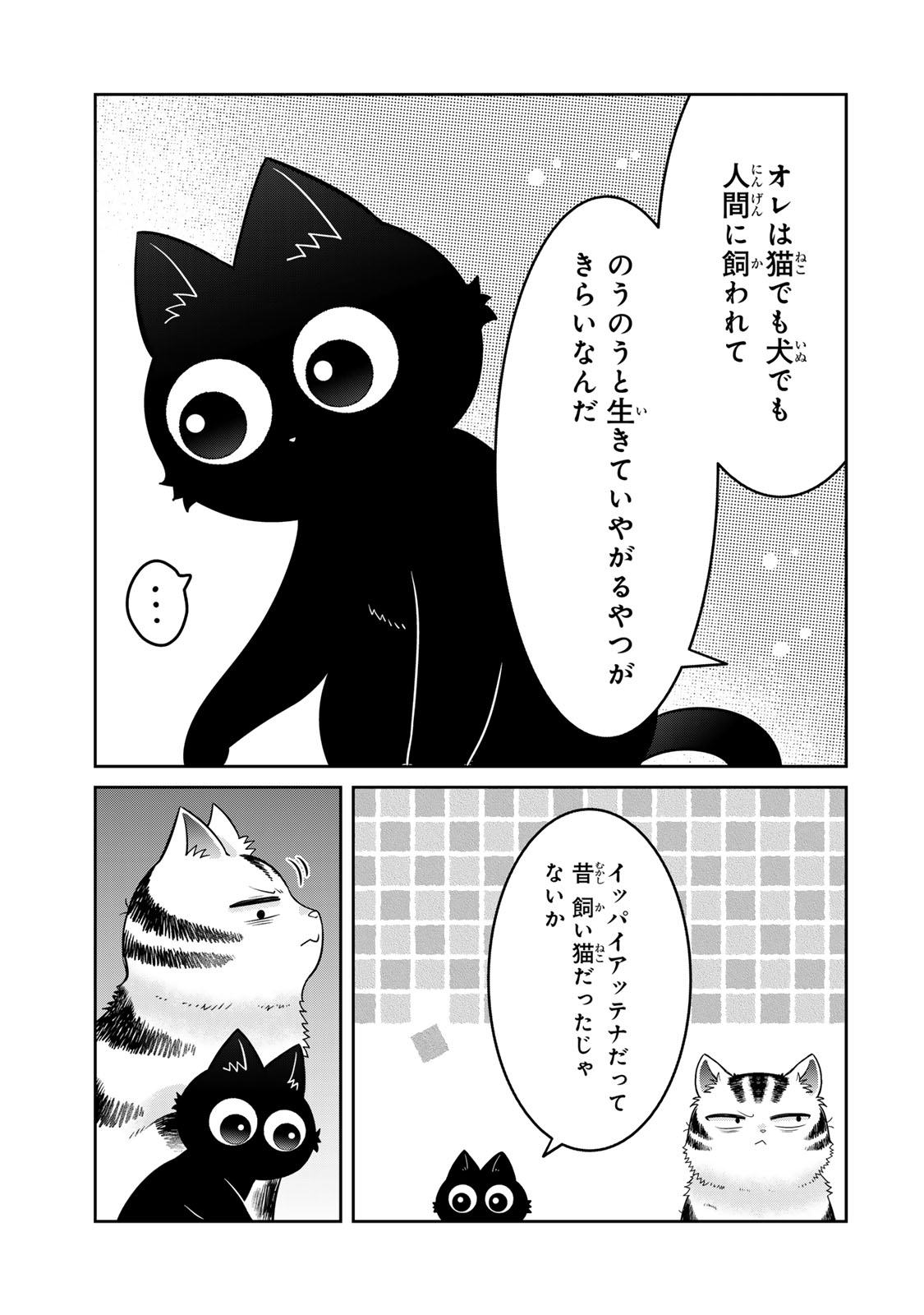 Rudolf to Ippaiattena Chapter 14 7ページ
