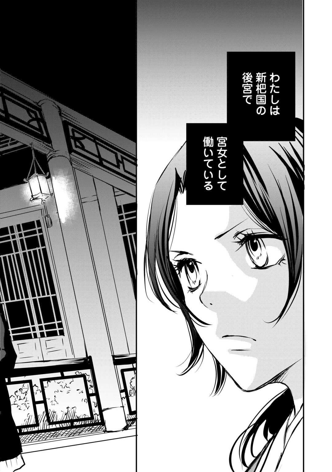 Koukyuu no Kakure Kusushi wa Yamiyo wo Terasu Chapter 1 14ページ