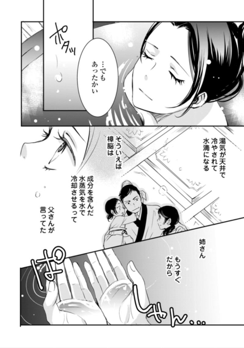 Koukyuu no Kakure Kusushi wa Yamiyo wo Terasu Chapter 10 12ページ