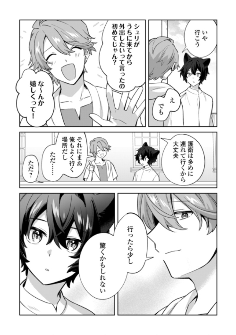 Futago no Ouji ni Futago de Konyaku shitakedo Janai Hou dakara Yami Mahou wo Kiwameru Chapter 6 12ページ