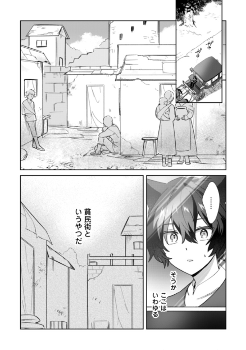 Futago no Ouji ni Futago de Konyaku shitakedo Janai Hou dakara Yami Mahou wo Kiwameru Chapter 6 13ページ