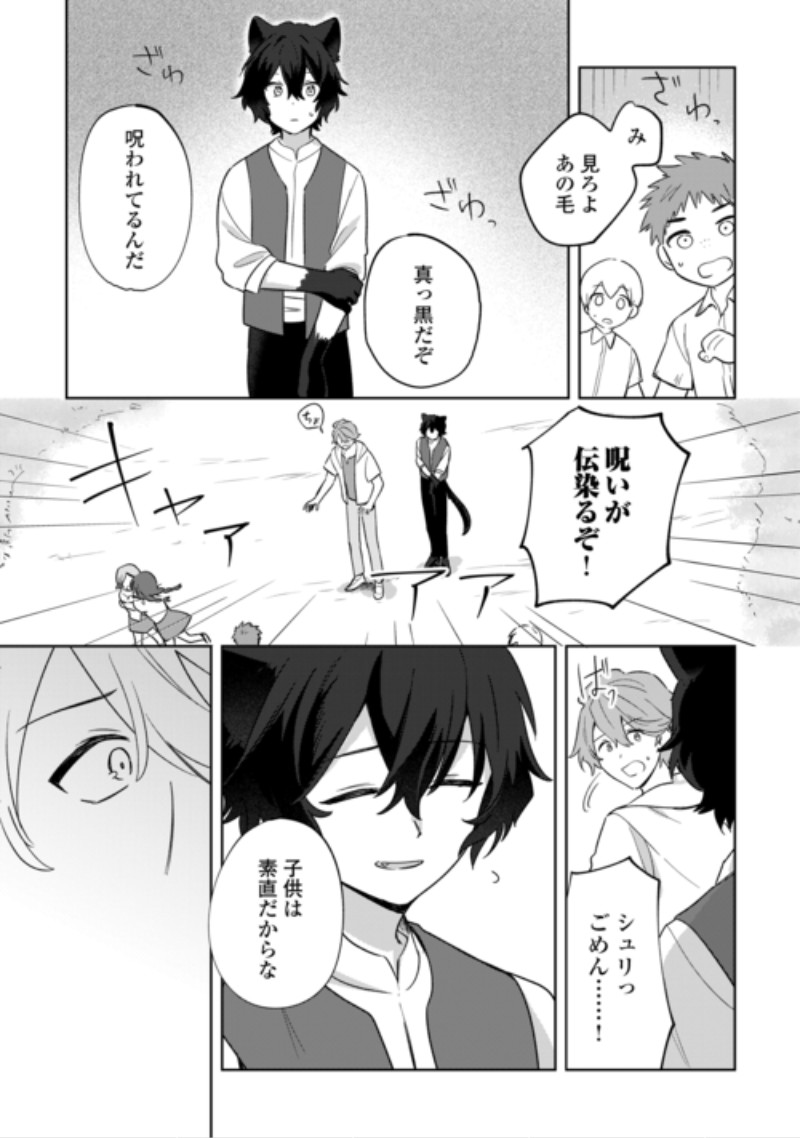 Futago no Ouji ni Futago de Konyaku shitakedo Janai Hou dakara Yami Mahou wo Kiwameru Chapter 6 15ページ