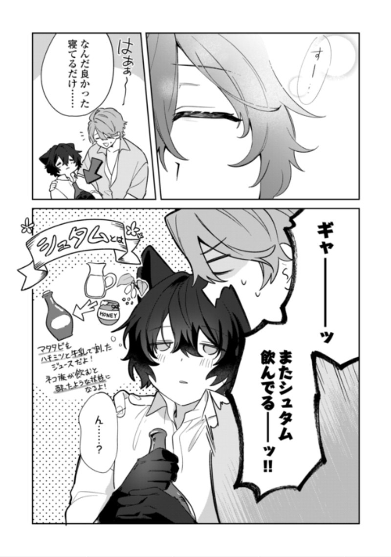 Futago no Ouji ni Futago de Konyaku shitakedo Janai Hou dakara Yami Mahou wo Kiwameru Chapter 6 3ページ