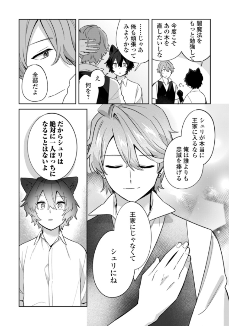 Futago no Ouji ni Futago de Konyaku shitakedo Janai Hou dakara Yami Mahou wo Kiwameru Chapter 6 27ページ