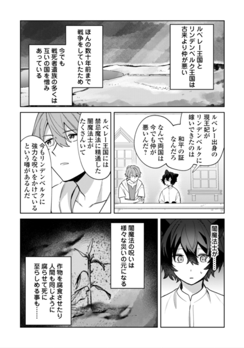 Futago no Ouji ni Futago de Konyaku shitakedo Janai Hou dakara Yami Mahou wo Kiwameru Chapter 6 10ページ