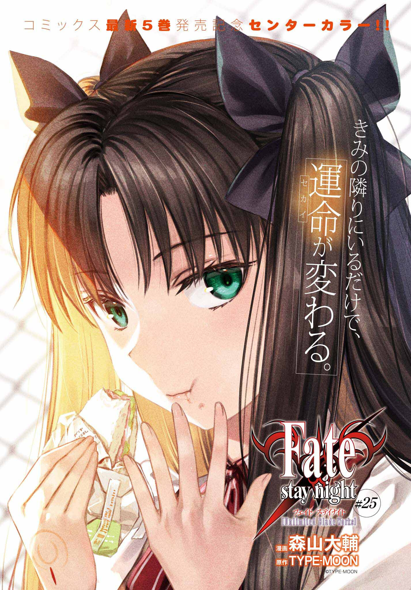 Fate/Stay Night: Unlimited Blade Works Chapter 25 1ページ