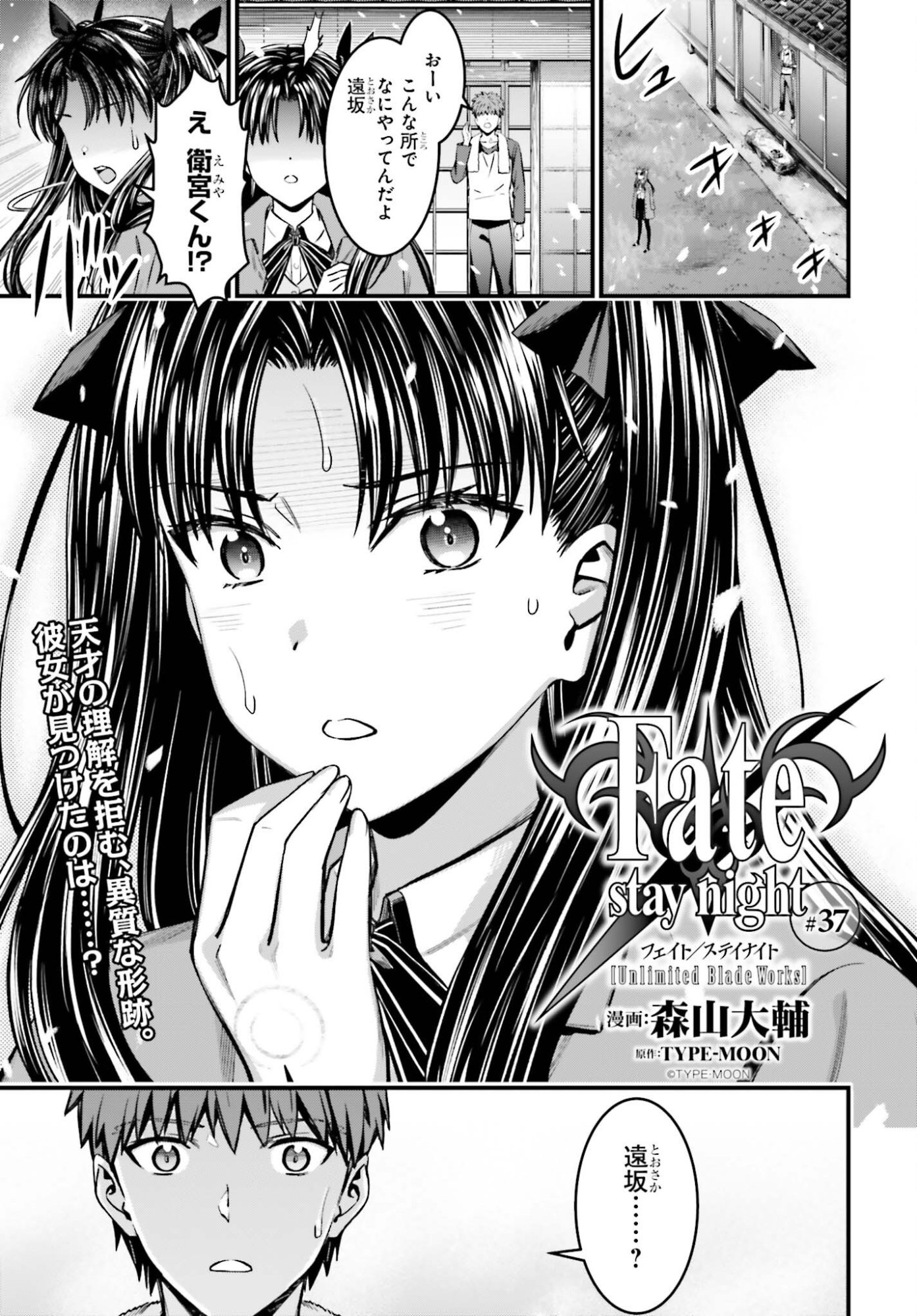 Fate/Stay Night: Unlimited Blade Works Chapter 37 1ページ