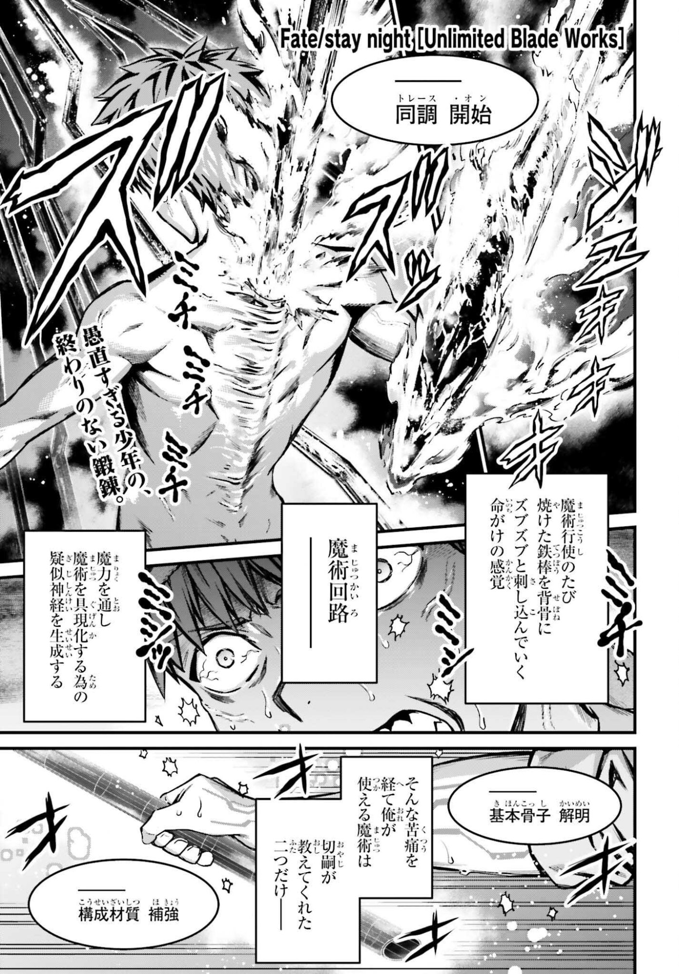 Fate/Stay Night: Unlimited Blade Works Chapter 38 1ページ