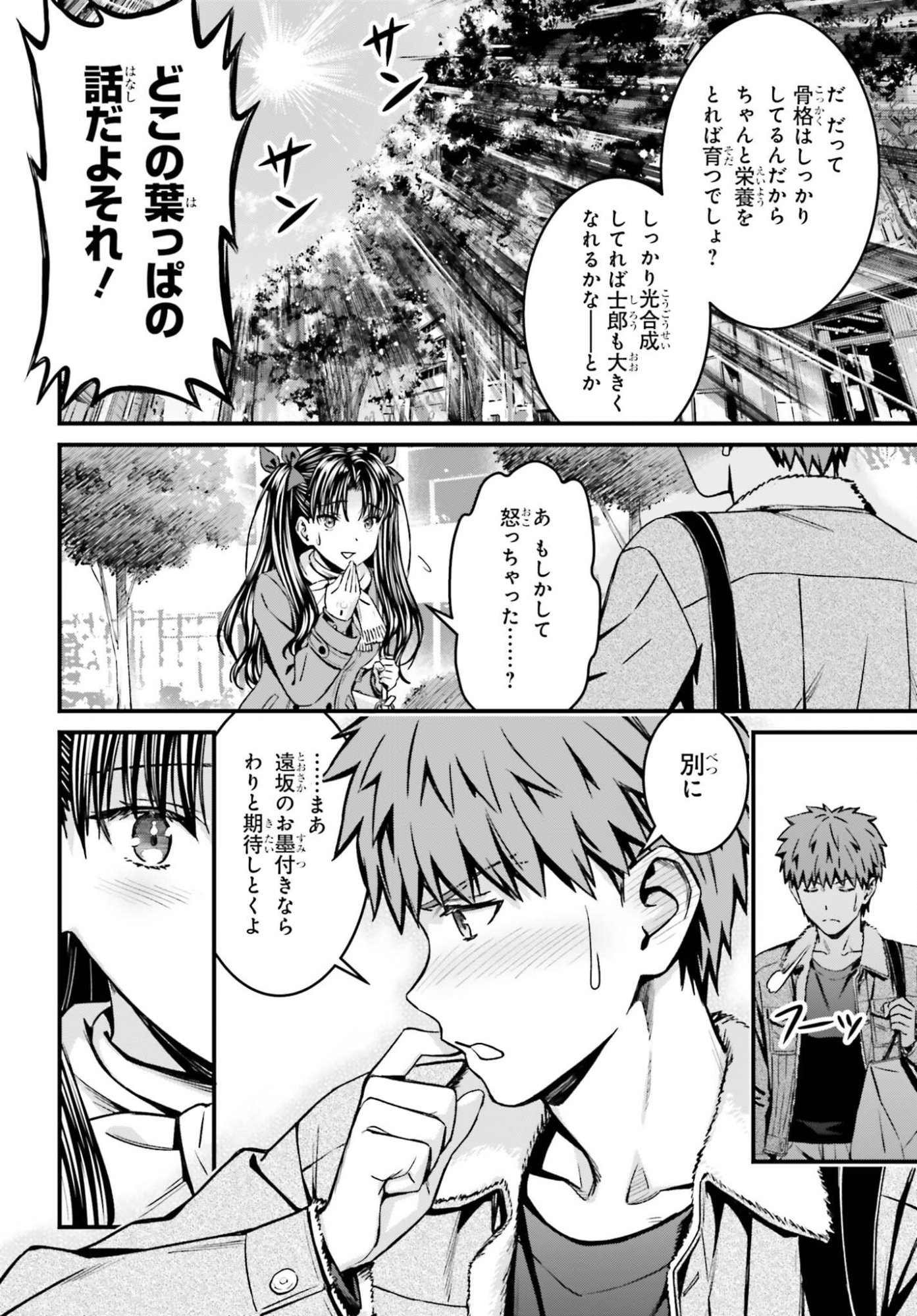 Fate/Stay Night: Unlimited Blade Works Chapter 39.2 10ページ