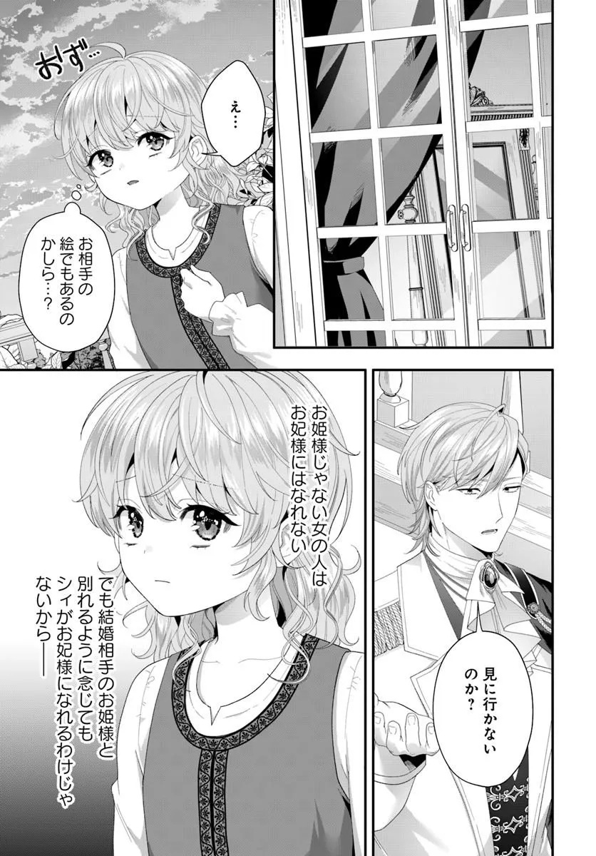 Tensei Shitara Koutei Heika ni Nekokawaigari sareru Moyou desu Chapter 3.4 3ページ