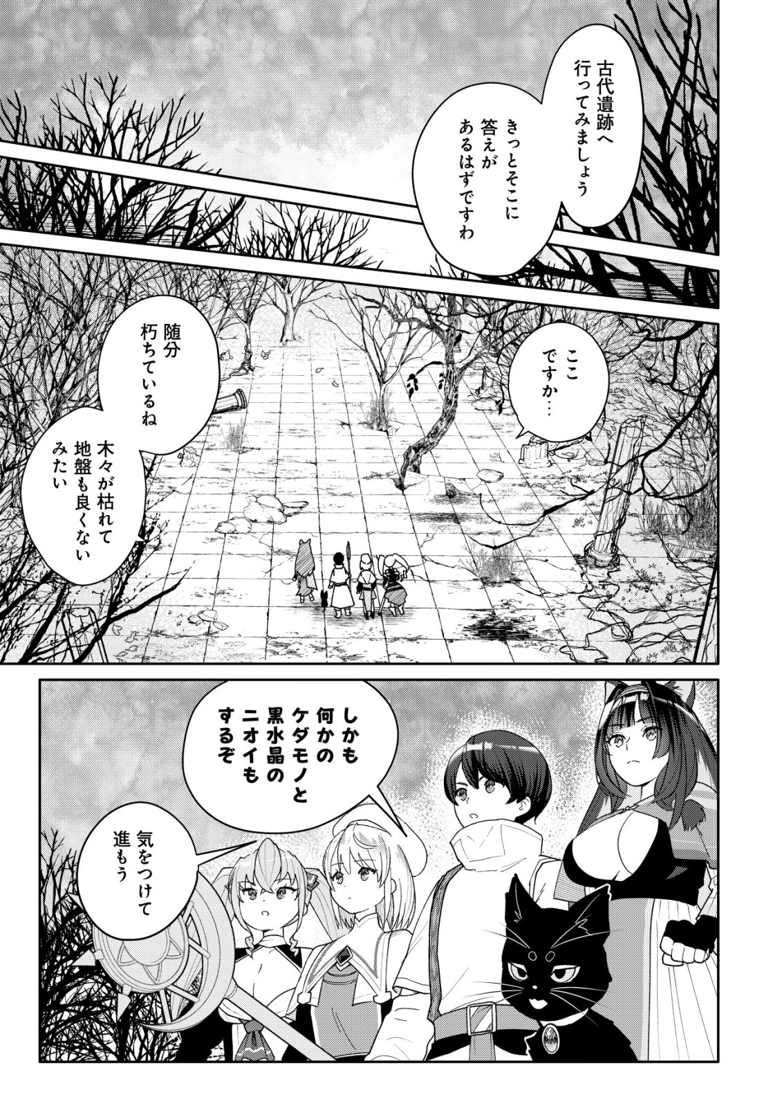 SSS-kyuu Skill Haifu Shinkan no Henkyou Second Life Chapter 19 18ページ