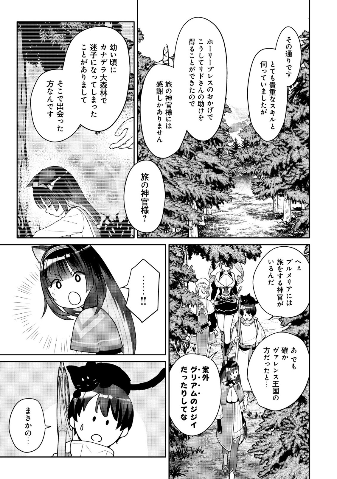 SSS-kyuu Skill Haifu Shinkan no Henkyou Second Life Chapter 19 4ページ