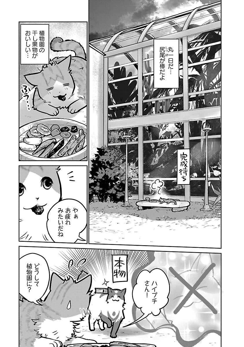 Neko to Ryuu Chapter 59 31ページ