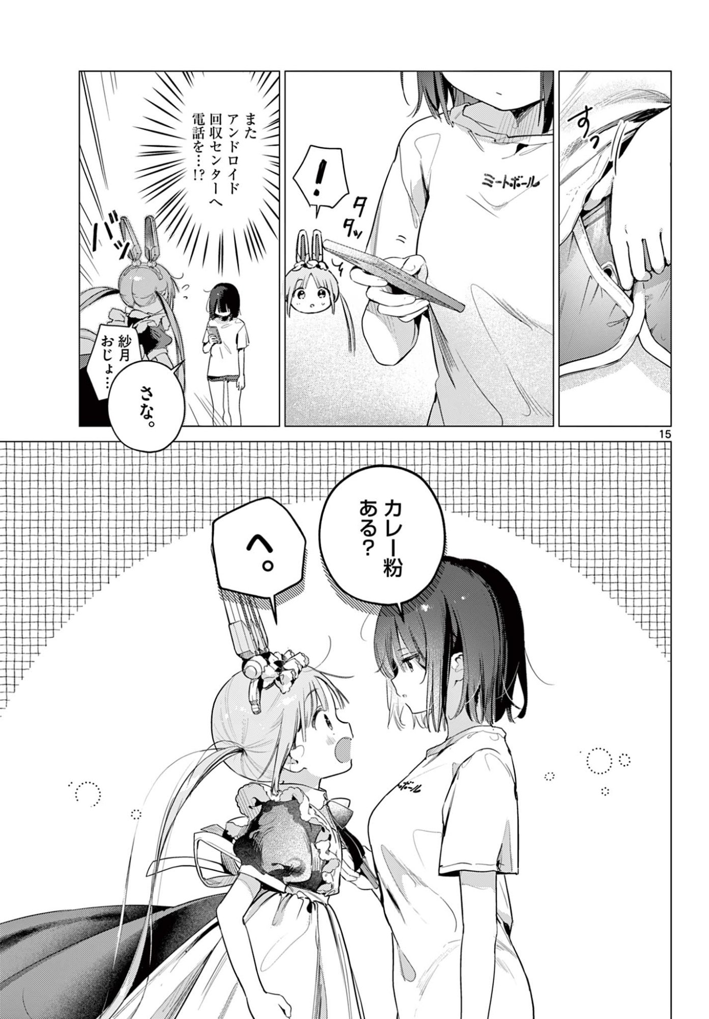 Maid to Loyd wa Ojou-sama no Oyakuni Tachitai! Chapter 2 15ページ