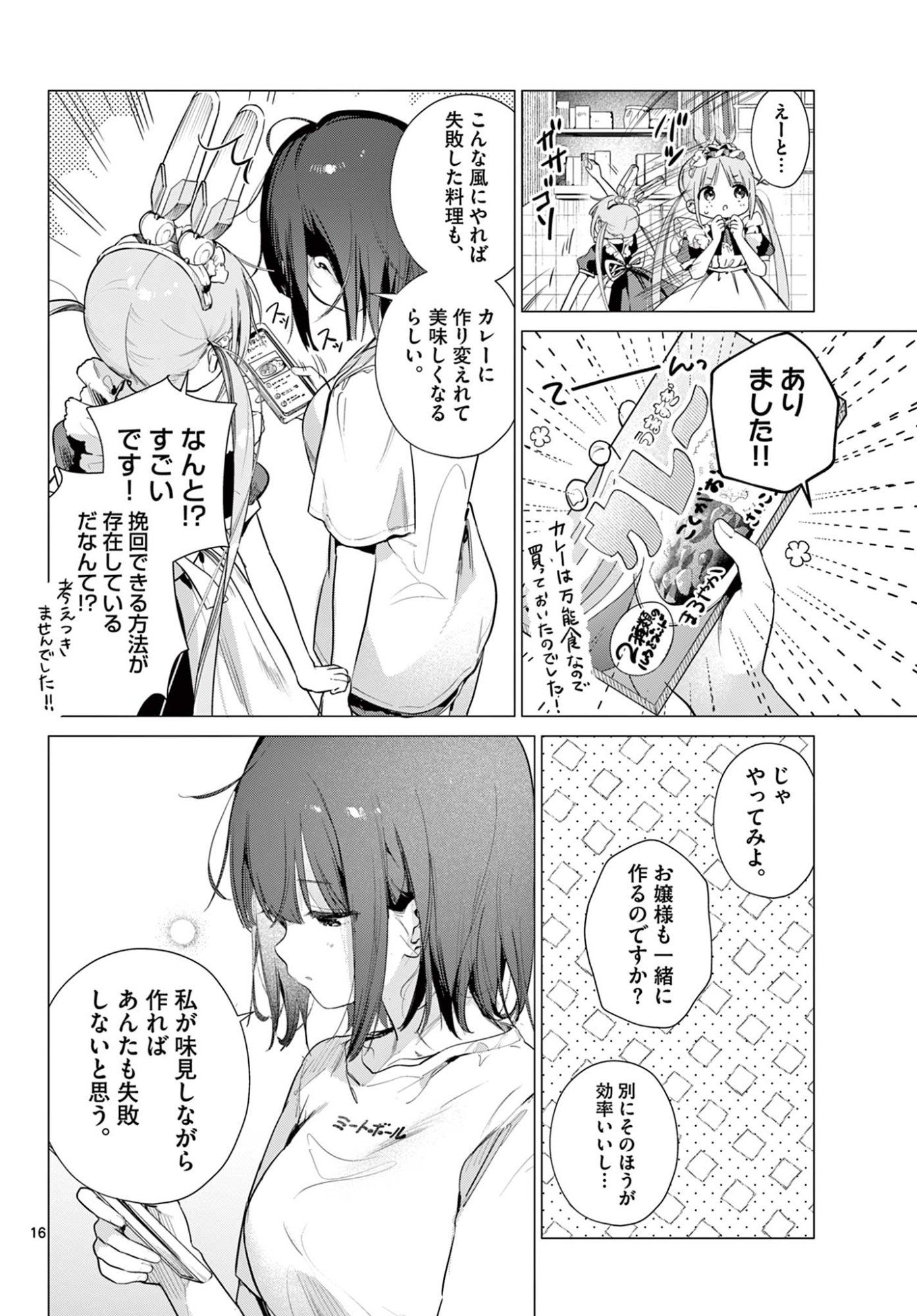 Maid to Loyd wa Ojou-sama no Oyakuni Tachitai! Chapter 2 16ページ