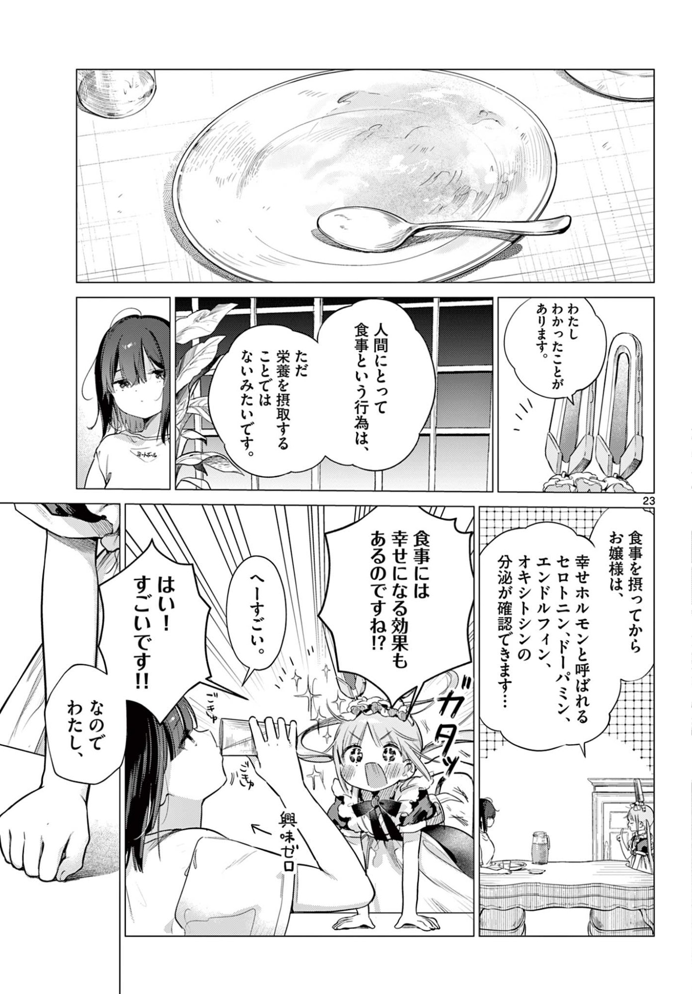 Maid to Loyd wa Ojou-sama no Oyakuni Tachitai! Chapter 2 23ページ