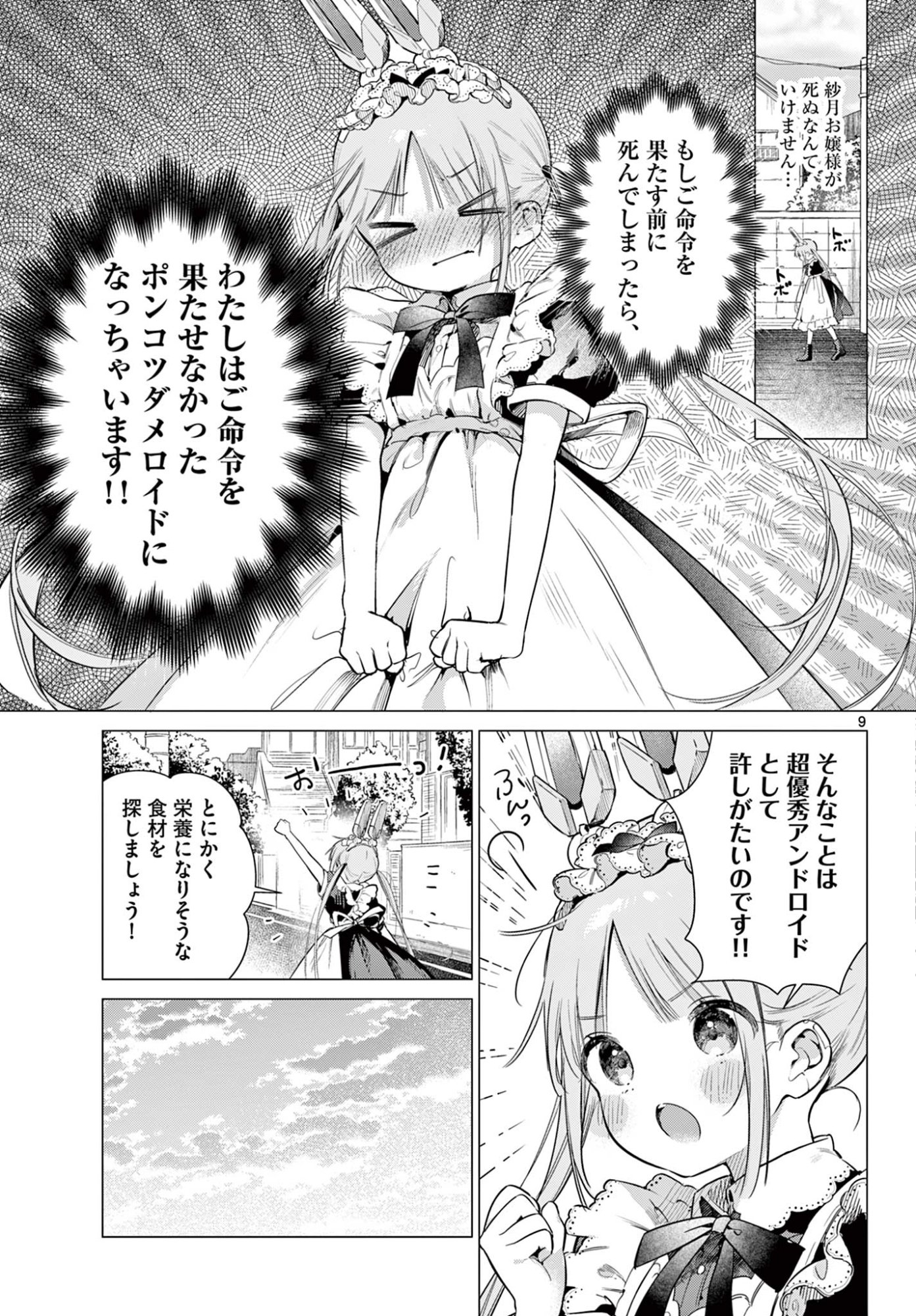 Maid to Loyd wa Ojou-sama no Oyakuni Tachitai! Chapter 2 9ページ
