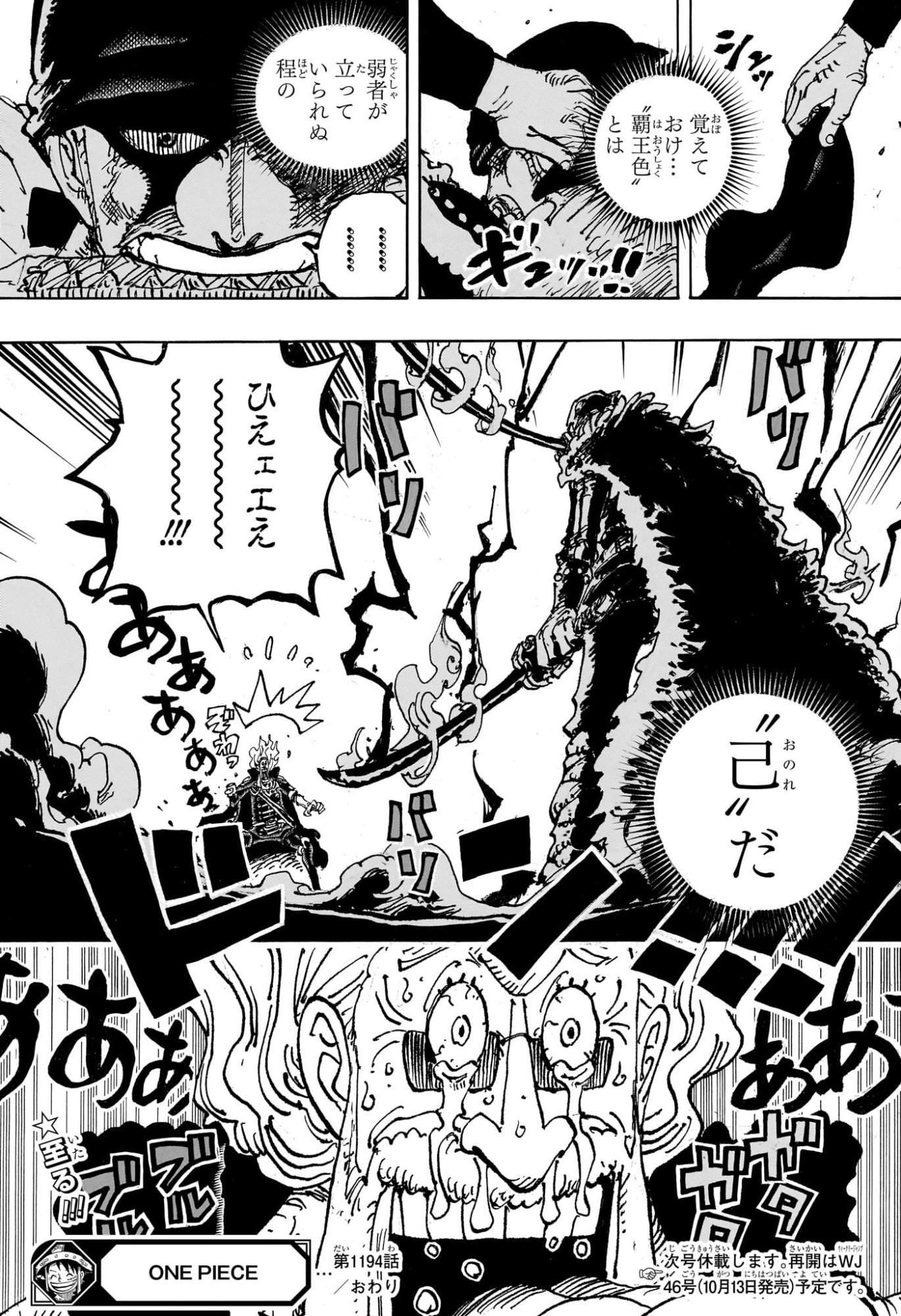 One Piece Chapter 1194 13ページ