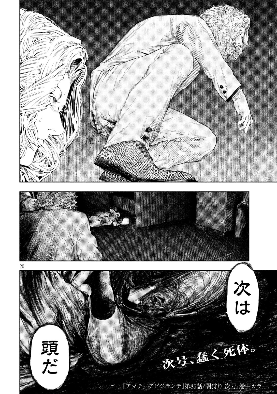 Amateur Vigilante Chapter 85 20ページ