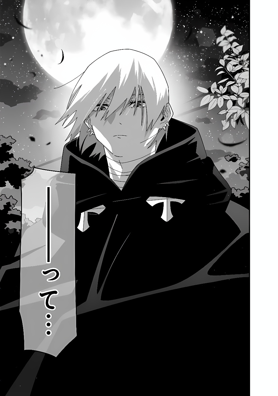 Kuroneko no Akuyaku Reijou Chapter 2 33ページ