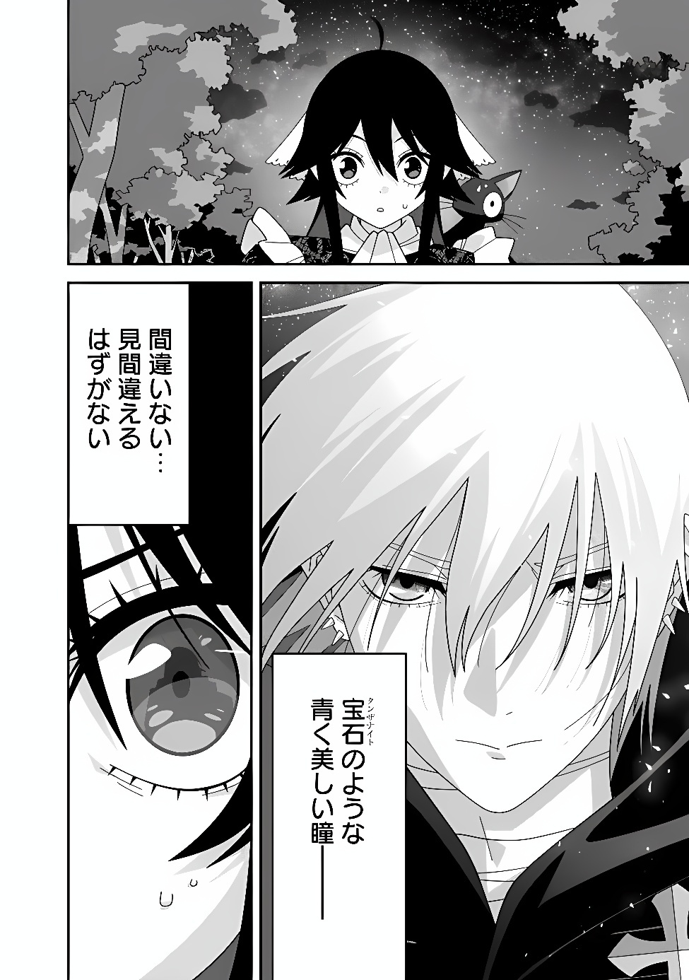 Kuroneko no Akuyaku Reijou Chapter 2 34ページ