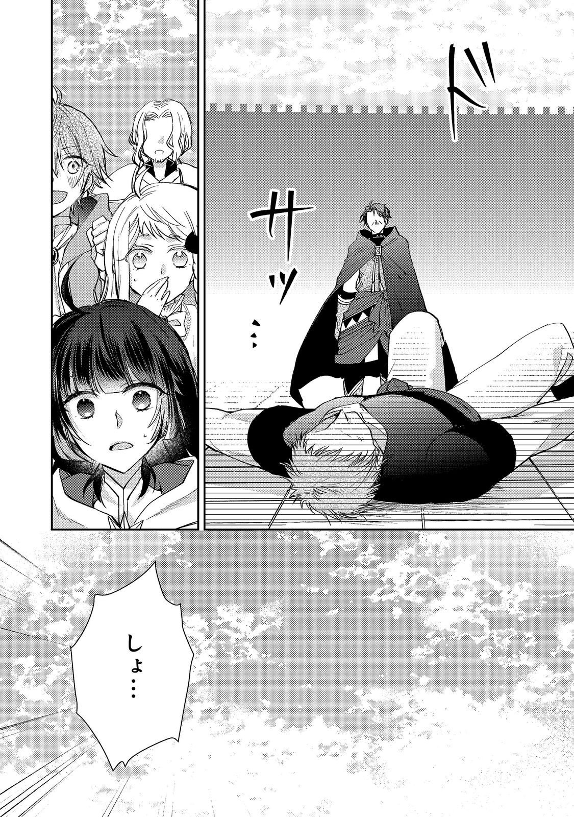 Seijo, Yuusha Party Kara Kaiko saretanode Guild wo Tsukuttara Atto Home na Saikyou Guild ni Sodachimashita. @COMIC Chapter 21.2 9ページ